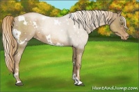 Horse Color:White Spotted Liver Chestnut Pearl Varnish 