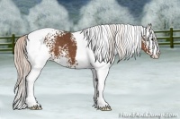 Horse Color:White Spotted Liver Chestnut Tobiano 