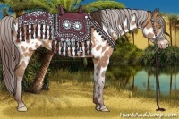 Horse Color:Amber Champagne Appaloosa and Amber Champagne Appaloosa Rabicano