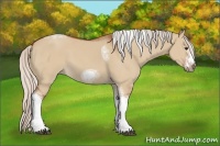 Horse Color:Silver Bay Dun Sabino Tobiano Frame Rabicano