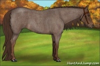 Horse Color:Liver Red Roan 