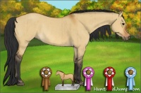 Horse Color:Bay Dun Rabicano Brindle 