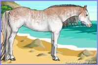 Horse Color:White Spotted Bay Roan Splash  and White Spotted Silver Bay Roan Splash 