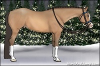 Horse Color:Amber Champagne Splash