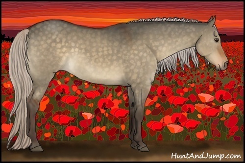 Horse Color:Silver Brown Dun 