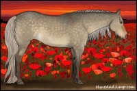 Horse Color:Silver Brown Dun 