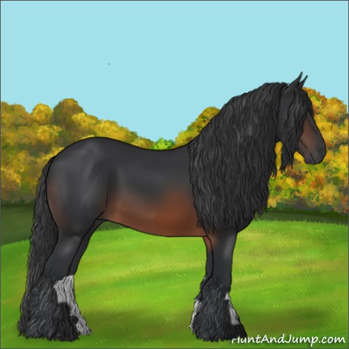 Horse Color:Brown 