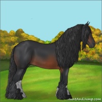 Horse Color:Brown 