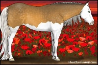 Horse Color:Silver Buckskin Splash