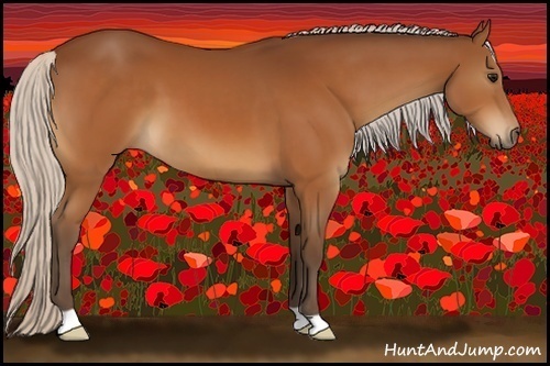 Horse Color:Silver Brown 