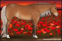 Horse Color:Silver Brown 