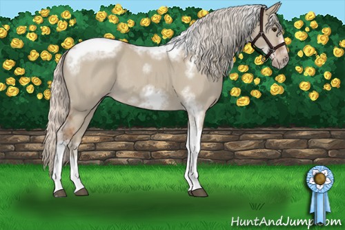 Horse Color:Silver Bay Dun Sabino Tobiano Frame Rabicano 
