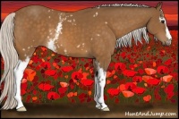 Horse Color:White Spotted Silver Buckskin 