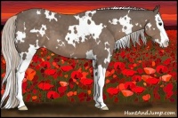 Horse Color:White Spotted Silver Black Splash 