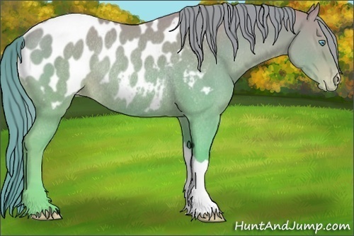 Horse Color:Chocolate Smoky Creme Appaloosa Rabicano 