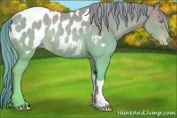 Horse Color:Chocolate Smoky Creme Blanket Rabicano 