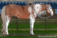 Horse Color:White Spotted Silver Brown Ice Snowflake VarnishRabicano 