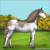 Horse Color:White Spotted Chocolate Palomino Snowflake Varnish