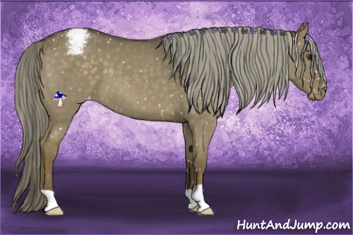 Horse Color:Chocolate Palomino Dun Snowflake Varnish