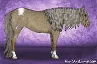 Horse Color:Chocolate Palomino Dun Snowflake Varnish