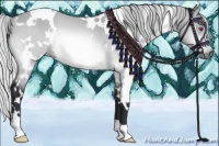 Horse Color:White Spotted Silver Bay Chinchilla 