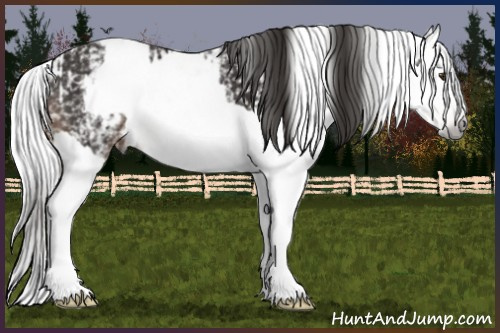 Horse Color:White Spotted Liver Chestnut Splash  and Gray Chocolate Palomino Roan Sabino 