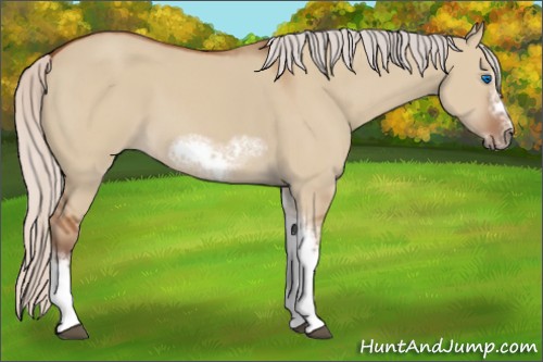 Horse Color:Silver Bay Dun Sabino Tobiano Frame Rabicano 