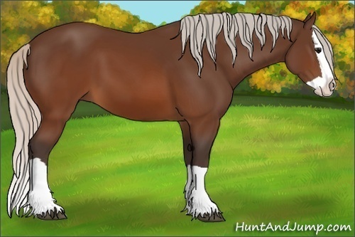 Horse Color:Silver Brown Splash 