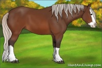 Horse Color:Silver Brown Splash 