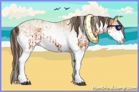 Horse Color:Silver Bay Splash Tobiano and White Spotted Amber Champagne Splash