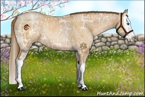 Horse Color:Brown Ice Pearl Splash Rabicano 