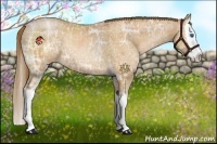Horse Color:Brown Ice Pearl Splash Rabicano 