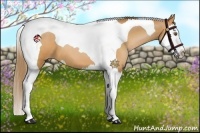 Horse Color:Brown Pearl Splash Tobiano