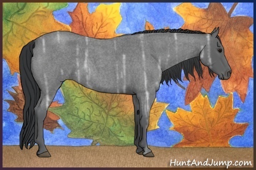 Horse Color:Blue Ice Roan Rabicano