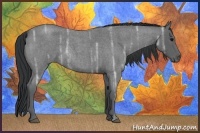 Horse Color:Blue Ice Roan Rabicano 