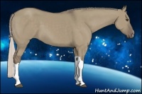 Horse Color:Silver Grullo 
