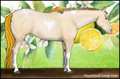 Horse Color:Painted Buckskin Pearl Tobiano 