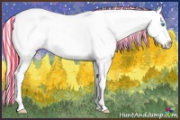 Horse Color:Painted Perlino Appaloosa 