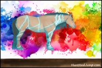 Horse Color:Thunderstruck Amber Champagne Roan