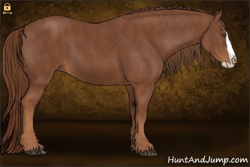 Horse Color:Chestnut Splash Frame  Brindle