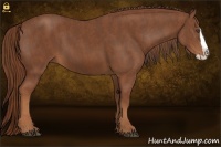 Horse Color:Chestnut Splash Frame  Brindle