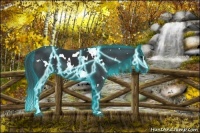Horse Color:Thunderstruck White Spotted Black Sabino