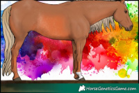 Horse Color:Watercolor Chestnut Rabicano 