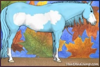 Horse Color:Watercolor Black Frame 