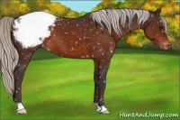 Horse Color:Silver Brown Snowcap 