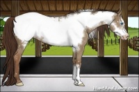 Horse Color:Liver Red Dun Frame Snowflake Varnish