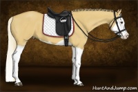 Horse Color:Palomino Dun Splash 
