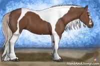 Horse Color:Chestnut Splash Tobiano Frame Brindle