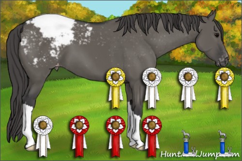 Horse Color:Grullo Snowcap 