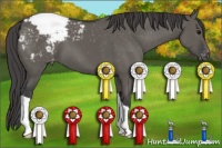 Horse Color:Grullo Snowcap 